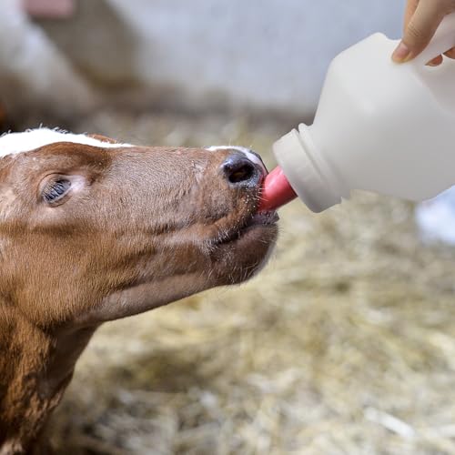 2 Quart Calf Bottle with Replacement Screw Nipple – Heavy-Duty Nursing Feeder for Baby Cattle, Lambs, Goats & Kids – Essential Livestock Supplies with Easy-Grip Handle & Anti-Leak Design