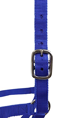 Derby Originals Adjustable Nylon Livestock Cattle Halters - color: Royal Blue, size: Small (250-500lbs)