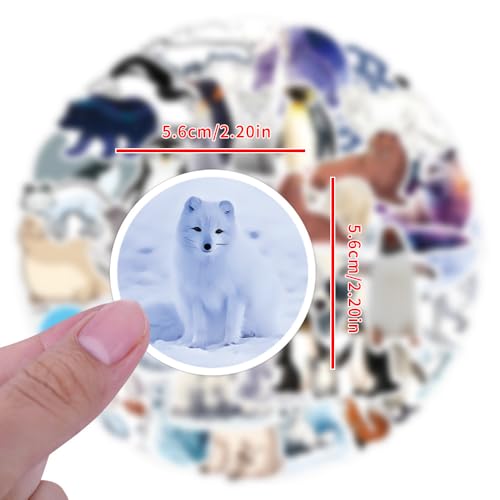 Cute Artic Animals Stickers Penguin Polar Bear Decals for Kids Teen 60PCS | Waterproof Vinyl Kawaii Artic Animal Sticker for Water Bottle Laptop Luggage Skateboard Gifts for Adult Decal Teachers Reward - color: Arctic