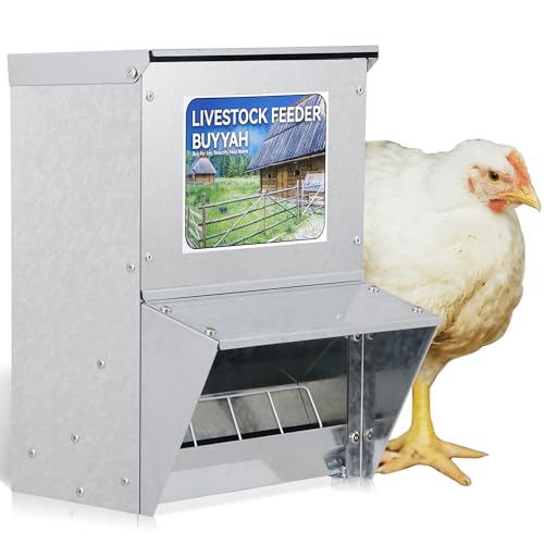 Automatic Chicken Feeder 30lb Capacity | Galvanized Metal Poultry Feeder, Waterproof Chicken Feeder, Suitable for Poultry, Geese, Quails, Bantams, Ducks and Turkey