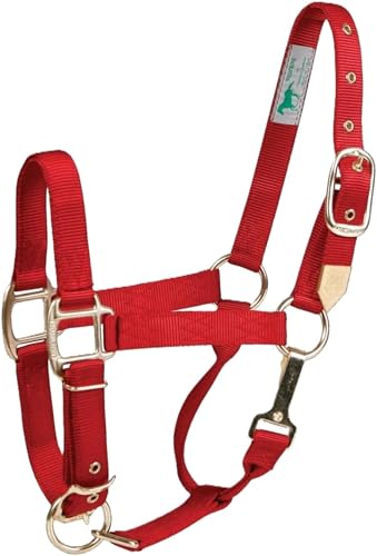 Hamilton Deluxe Adjustable Horse Halter, 800-1100 lbs, Red | Premium Quality 1" Triple Ply Nylon, Average/Arabian/Yearling Draft, Adjustable Chin Strap, Throat Snap, Solid Brass Hardware - color: Red, size: Average, 800-1100lbs