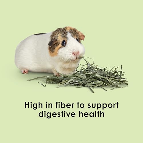 Kaytee Timothy Hay, High Fiber for Rabbits, Guinea Pigs, 48 Ounces | Supports digestive health. Hand-selected rabbit hay. Guinea pig hay, chinchilla hay, pesticide free - size: 24 Pound (Pack of 1)