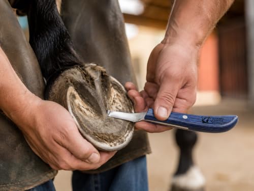 Right-Hand Curved Blade Hoof Knife, J2 420 Magnetic Stainless Steel Blade, Ergonomic Blue Handle, Farrier Horse Hoof Trimming Tool for Sole & Frog Paring - style: Right-Handed
