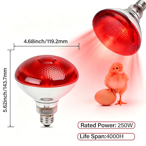 4 Pack 250W Chicken Heat Lamp Bulbs, Infrared Heat Lamp for Chickens, Heat Light Bulb for Brooder Coop, Food Service, Chicks, Pet, Reptile