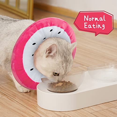 ANWA Adjustable Cat Cone Collar Soft, Cute Cat Donut Collar After Surgery, Kitten Recovery Cones to Stop Licking - color: Dragonfruit, size: Medium