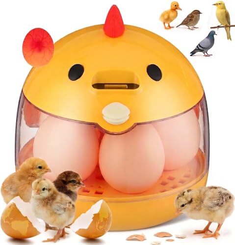 Abaodam Incubators for Hatching Eggs, Small Chicken Egg Incubator with Automatic Temperature Control & 360° View, Portable Type-C Hatcher for Quail, Parrot, Duck, Poultry, Ideal for Kids Science