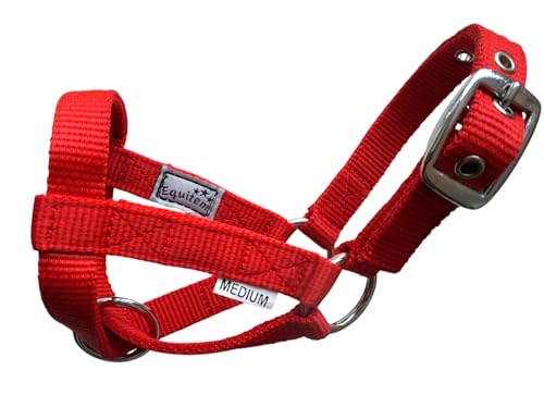 Livestock Goat Halter. Small, Medium, Large – Safe & Adjustable for Milking, Training, and Travel. (Red, Small (29"–32")) - color: Red, size: Small (29"–32")