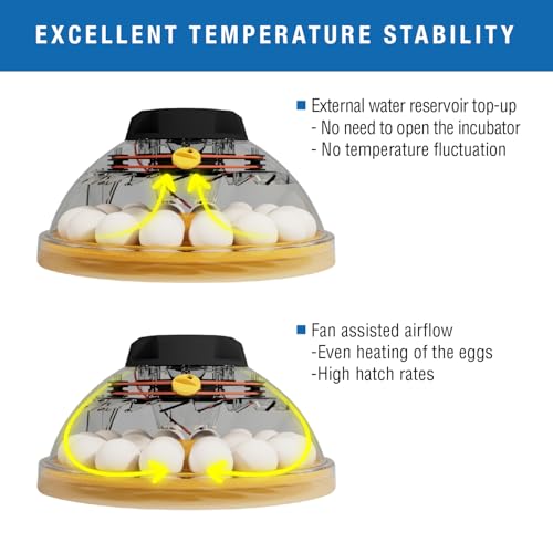 Brinsea Maxi 24 EX Egg Incubator with Automatic Turning & Humidity Control | 50+ years of expertise! Built-in automatic humidity, auto-turn & temp alarms take the guesswork out of hatching 24+ eggs