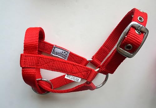 Livestock Goat Halter. Small, Medium, Large – Safe & Adjustable for Milking, Training, and Travel. (Red, Small (29"–32")) - color: Red, size: Small (29"–32")