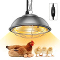 350 Watt Heat Lamp for Chickens - Chtoocy Chicken Coop Heater with Carbon Fiber Bulb, 5.2FT Thickened Power Cord & Chicken Heat Lamp with 2 Temperature Adjustable (175/350W) for Chicks, Ducks and Pets