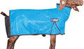 Weaver Leather Livestock ProCool Mesh Goat Blanket with Reflective Piping