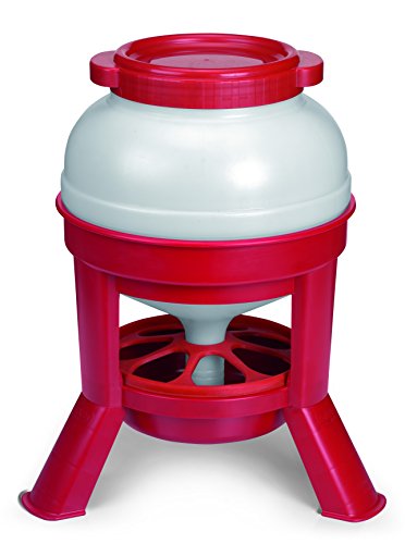 Little Giant® Plastic Dome Feeder | Heavy Duty Plastic Gravity Fed Poultry Feed Container Tank | Backyard Poultry for Hobbyists, Farmers and Ranchers | 35 LB - size: 35 LB