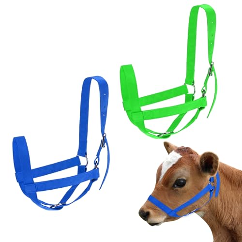 M METERXITY 2-Pack Adjustable Cattle Cow Calf Halter, 19.68"-23.62" Nylon Livestock Cow Halter for Miniature Horse/Donkey/Goat/Cattle [Green/Blue]