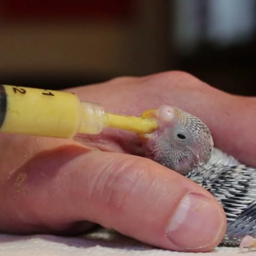 Bird Feeding Syringe Set with Tubes, 5ml+10ml+60ml | Pet Feeding Syringe, Plastic Syringes for Breeding Small Pets, Oil or Glue Applicator, 5ml+10ml+60ml Feeder+9cm Feeding Tube
