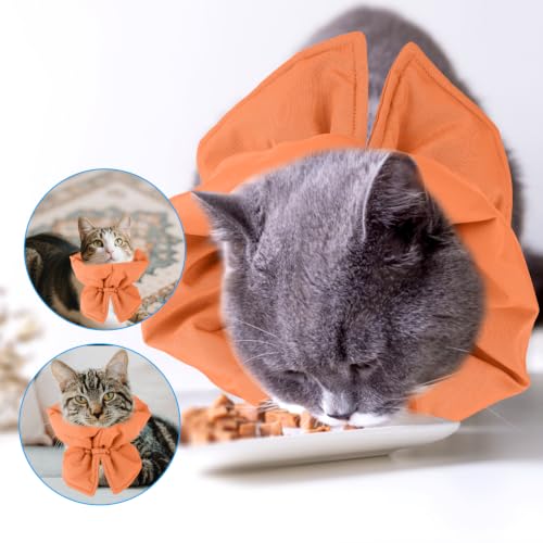 BOXOB Cat Cone Collar, Adjustable Pet Recovery Collar (Orange) | Adjustable Recovery Collar Lightweight Waterproof & Soft Cat Recovery Suit Avoid Licking Wounds for Cats & Dogs - color: Orange