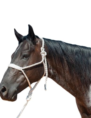 Cashel Flat Braid Halter and Leadrope - color: White