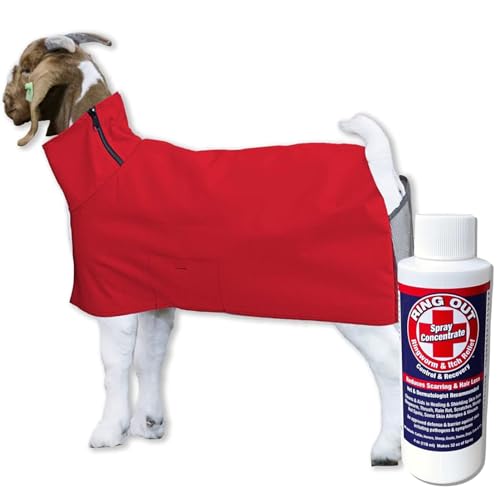Show Pro Red Goat Blanket Nylon with Mesh Butt for Show Goats - Livestock Supplies for Goat Cover. Free Ring Out Concentrate for Proven Ringworm & Fungus Prevention Included - size: Medium