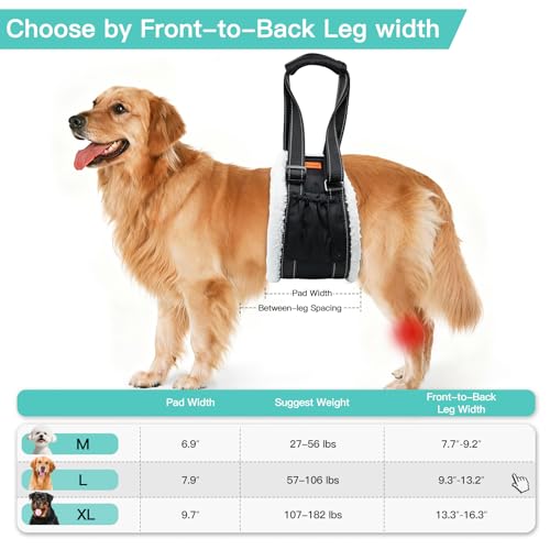 Dog Lift Harness Sling for Back Legs, Adjustable Rear Leg Support & Mobility Aid, Hip Support for Senior/Disabled Dogs, Soft Fleece Lining, Padded Handles, for CCL/ACL Surgery (Black, Medium) - size: Medium