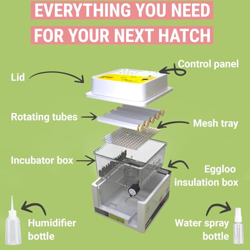OBI-12 Egg Incubators for Hatching Eggs – Incubator for 12 Eggs with Automatic Egg Turner - Brooder for Chicken Eggs, Quail, and Duck Eggs - Yellow - color: Yellow