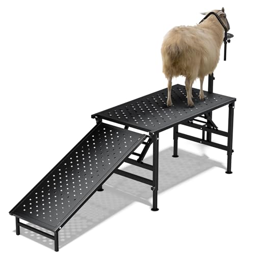 Professional Goat Milking Stand with Ramp, 600LBS Heavy Duty Foldable Livestock Trimming Platform, Metal Grooming Stand with Adjustable Headpiece & Stainless Steel Feeder for Nubian & Dwarf Goats - color: Black with Ramp