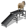 Professional Goat Milking Stand with Ramp, 600LBS Heavy Duty Foldable Livestock Trimming Platform, Metal Grooming Stand with Adjustable Headpiece & Stainless Steel Feeder for Nubian & Dwarf Goats - color: Black with Ramp