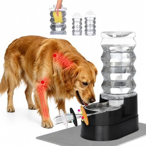 RIZZARI 8L Elevated Dog Water Dispenser: Large Dogs Senior Pets Filtered | Comfortable Drinking Position / Anti Splash Base / Stainless Steel Bowl / Easy Cleaning / Dishwasher Safe/Multi Pet Homes - color: Black, size: 8L