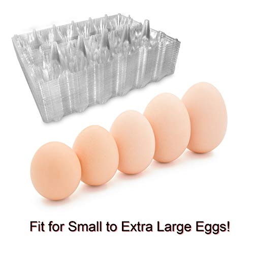 Large Plastic Egg Cartons 30 Packs with Sticker Labels for 12 Eggs, Cheap Bulk Egg Tray Egg Container Holder for Refrigerator, Storage, Family, Chicken Farm, Market, Camping