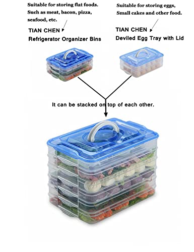 Egg Storage Container for Refrigerator, 3-Layer Deviled Egg Tray, Stackable Fridge Egg Organizer with Lid and Handle, Extra Large Holder, 60 Count Eggs Keeper(transparent 3 layer) | 3-Layer, 60 eggs, Stackable Storage Holder with Handle for Refrigerator f