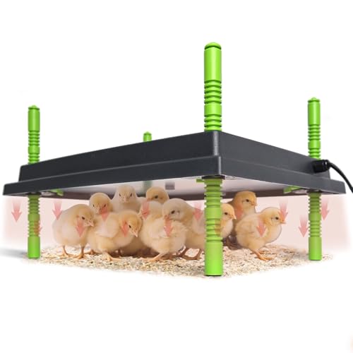 Chick Brooder Heater Plate for 40 Baby Chicks Ducks | 12" x 16" Brooder Heating Plate, Adjustable Height, 30W, 110V - size: 16.3"L x 12.0"W x 3.0"H