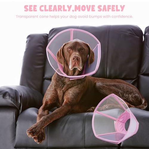 Dog Cone Collar for Dogs After Surgery,Transparent Dogs Cone Stop Licking,Foldable Dog Recovery Collars & Cones Anti-Bite Lick Protective Wound,Protective Elizabethan Collar Alternative,Pink,M - color: Pink