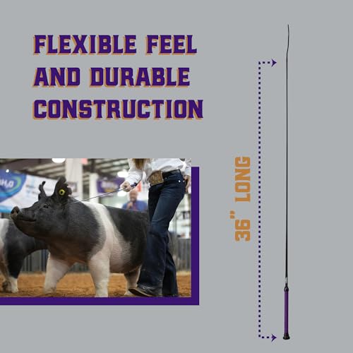 Weaver Livestock Basic Pig Show Whip, Hog Livestock Whip with Braided Nylon Handle, Leather Popper, Lightweight Braided Shaft - color: 36" - Purple