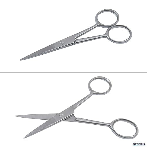 Dissection Kit for Biology Lab & Anatomy - Stainless Steel Scalpel Knife Set for Medical & Veterinary Students, KIT1019-7 Pcs - style: KIT1019 - 7 Pcs