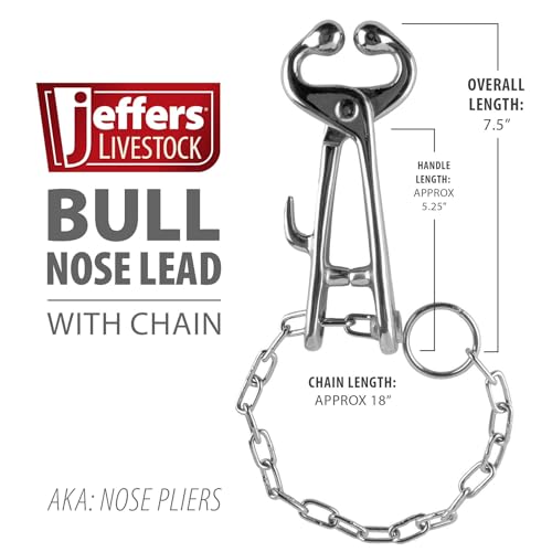Jeffers Livestock Bull Nose Lead with Chain – Nickel Plated Iron Cow Nose Pliers for Cattle Handling, Control & Restraint – Show, Veterinary, Transport & Training Tool for Cows and Bull