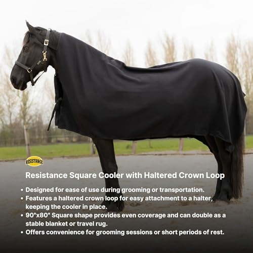 RESISTANCE Long Lasting & Warm Soft Fleece Square Cooler for Horse (90"x80", Black) - color: Black