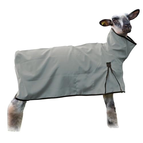 Weaver Livestock Sheep Blanket
