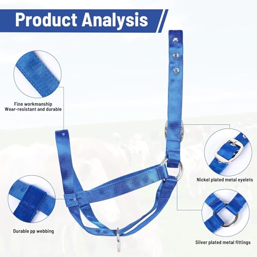 Cow Halter Cattle Halters Calf Halter with Leading Rope，Adjustable Nylon Livestock Cattle Halter，for Miniature Horse Donkey Goat Foal (Blue, Medium) - color: Blue, size: Medium