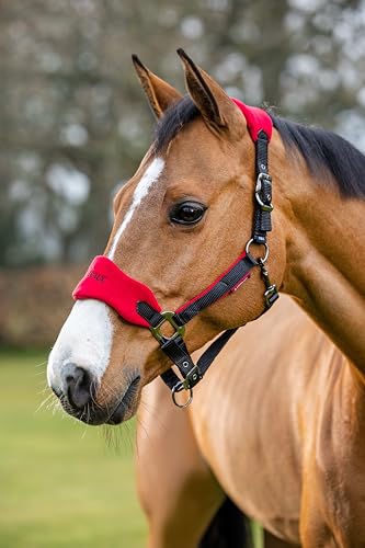 LeMieux Vogue Fleece Headcollar - Halter & Leadrope - Extra Padding, Adjustable at Curb and Poll Strap - color: Chilli, size: Pony