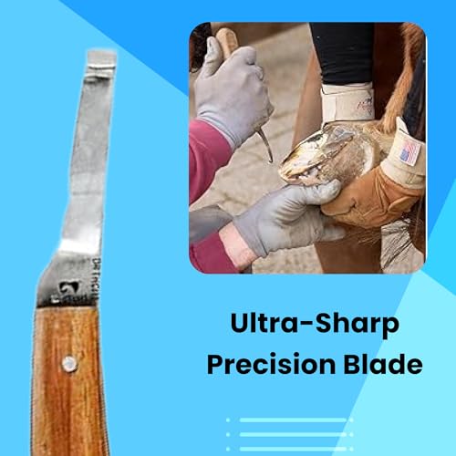 Hoof Knife with Narrow Single Sided Edge Right Hand Farrier Tool for Horses and Livestock – Premium Stainless Steel Hoof Trimming Knife with Ergonomic Contoured Handle for Better Grip - style: Narrow Blade - RH