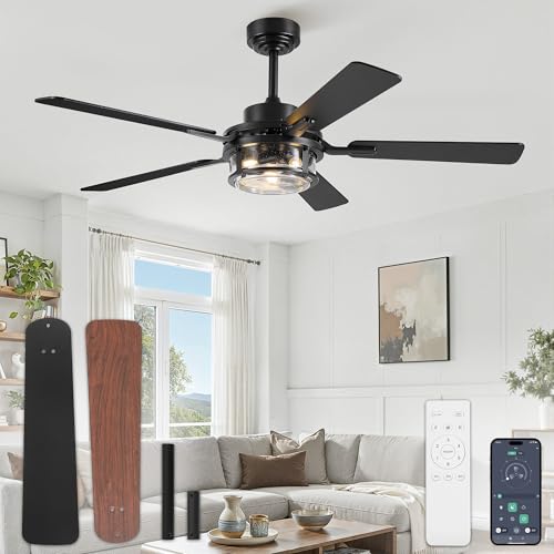 Fanbulous 52" Farmhouse Ceiling Fan with Light & Remote App, Rain Glass | Quiet DC Motor, 6-Speed Reversible, Downrod Mount, Double-Sided Blades, Black & Wood for Bedroom, Living Room - color: Black