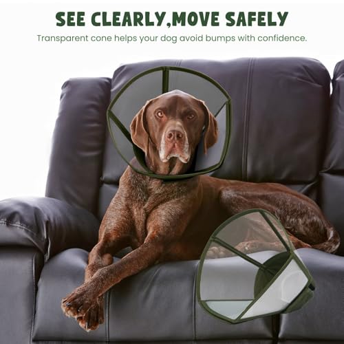 Dog Cone Collar for Dogs After Surgery,Transparent Dogs Cone Stop Licking,Foldable Dog Recovery Collars & Cones Anti-Bite Lick Protective Wound,Protective Elizabethan Collar Alternative,Green,M - color: ArmyGreen