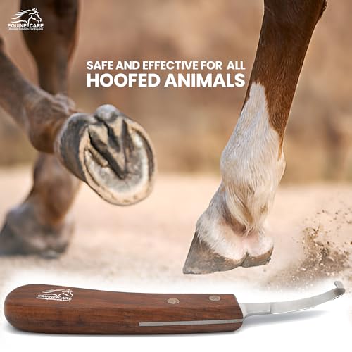 Equine Care Left-Handed Short Blade Hoof Knife for Horse Hoof Trimming | Short Farrier Hoof Knife: J2 stainless steel, compact curled tip and dual-riveted wood handle; right- or left-handed - style: Left Handed