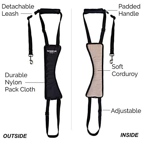 GINGERLEAD Dog Support Sling Rear Leg Harness, SM Male, Machine Wash & Dry | Fits Small to Medium Size Pets or Larger Barrel-Chested Breeds like Boxers, Bullies. Male Dachshunds use XS Size. Made in USA - size: Small - Male