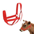 M METERXITY 1-Pack Adjustable Cattle Cow Calf Halter, 13.78"-17.7" Nylon Livestock Cow Halter for Miniature Horse/Donkey/Goat/Cattle [Red] - color: Red
