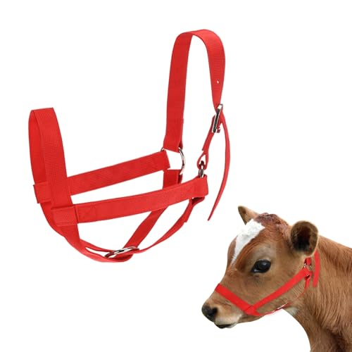 M METERXITY 1-Pack Adjustable Cattle Cow Calf Halter, 13.78"-17.7" Nylon Livestock Cow Halter for Miniature Horse/Donkey/Goat/Cattle [Red] - color: Red