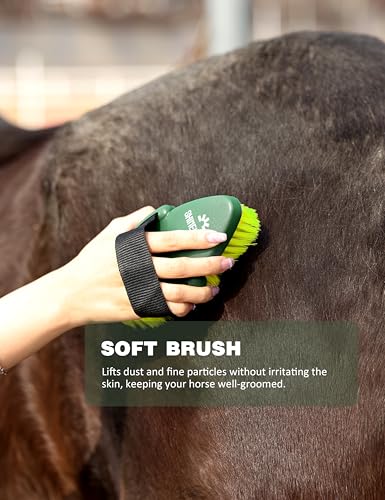 Shinewell Horse Grooming Kit, Complete Horse Brush Set, Equine Grooming Tools for Shedding & Daily Care Green - color: Green