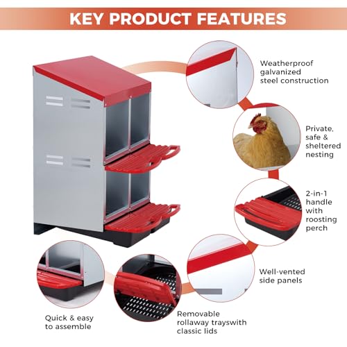 Chicken Nesting Box, 4 Compartment Roll Away Design for High-Volume Egg Collection and Easy Wall Mounting with Metal Legs