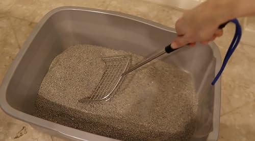 Sand Dipper Starter Kit – 6” Stainless Steel Poop Scooper & 50 Odor-Sealing Litter Bags for Cats, Chickens, and Farm Use