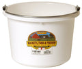 Little Giant P8WHITE Dura Flex Plastic Bucket for Livestock, 8-Quart, White
