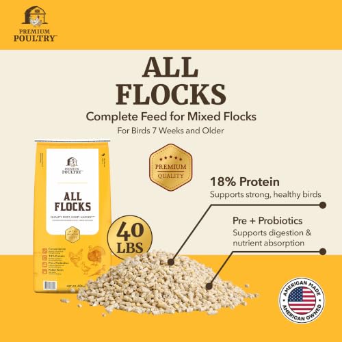 All Flock Feed Pellets, 18% Protein, 40lb, Made in USA | Pre & Probiotics, Supports Growth & Digestion, Ideal for Chickens, Ducks, Geese, Turkeys & Game Birds - size: 40lb (Pack of 1), style: All Flocks