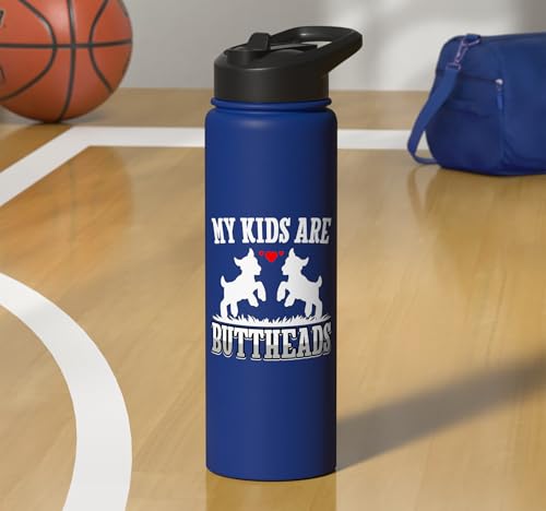 My Kids Are Buttheads Funny Goat Lover Goat Mom Farmer Stainless Steel Insulated Water Bottle - color: Royal Blue